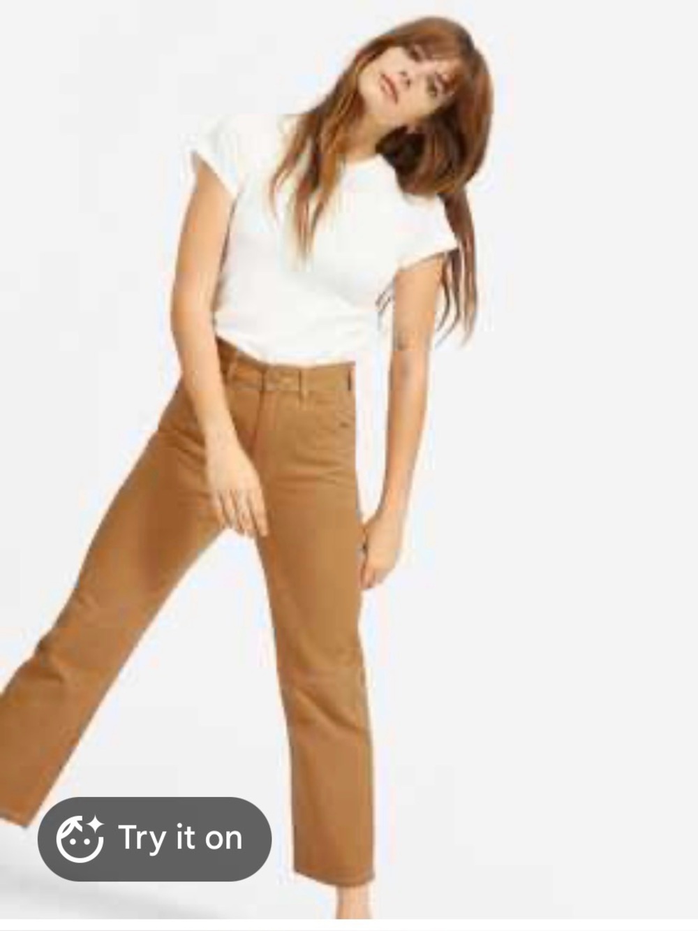 Everlane Carpenter Pants in Honey Brown EUC
